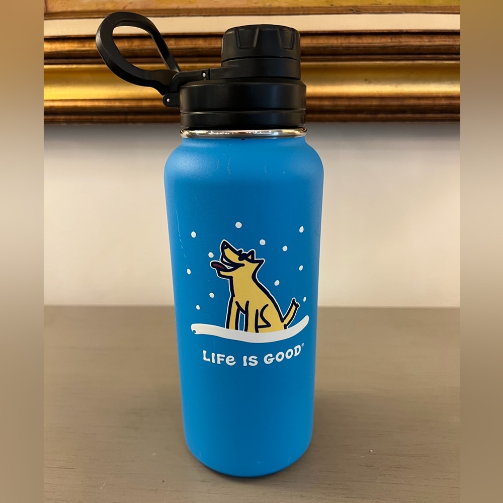 Life is Good Stainless Steel Water Bottle 32oz Bright Blue Snow Dog Winter Life